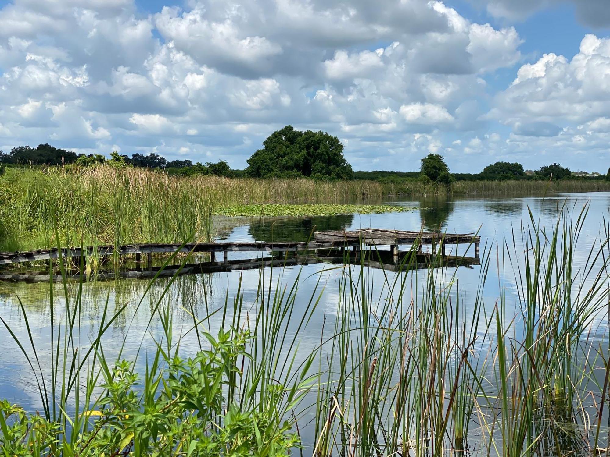 The Scandinavian Contemporary Blauw Lake Alfred Экстерьер фото